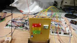 Famous "Bug Catcher" Cooper Union ECE-150 (Yingzhi Hao and Alon Levin) Net Worth