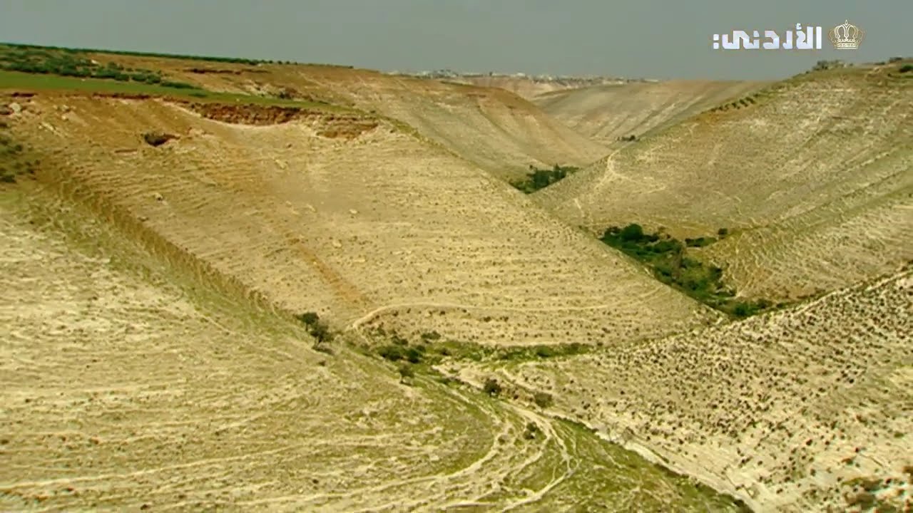 معلومات جميلة عن وادي الشلالة🫒🌴 | وديان أردنية  2007