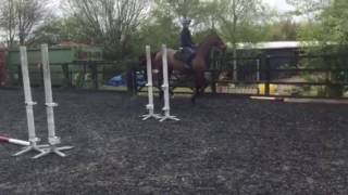 Cooper flatwork 2