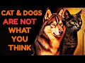 You Must Know This If You Have A Cat Or Dog (Edgar Casey)