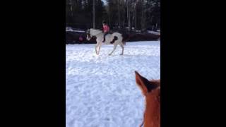 Sam bareback cantering abbey, winter 2013