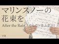 マリンスノーの花束を After The Rain そらる まふまふ 電子楽譜カノン