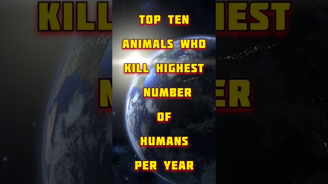 top ten animals by number of human kill count | top dangerous animals 2