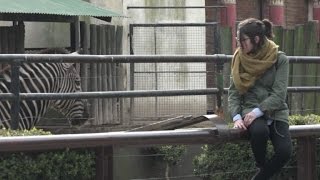 Zoológico de Buenos Aires cierra para convertirse en ecoparque