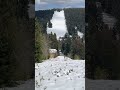 #freeride #powder #blackforest #schwarzwälder #hundseck