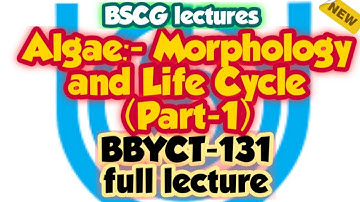 Algae:- Morphology and Life Cycle (Part-1)|BSCG LECTURES| BBYCT-131 full lecture #ignou #online