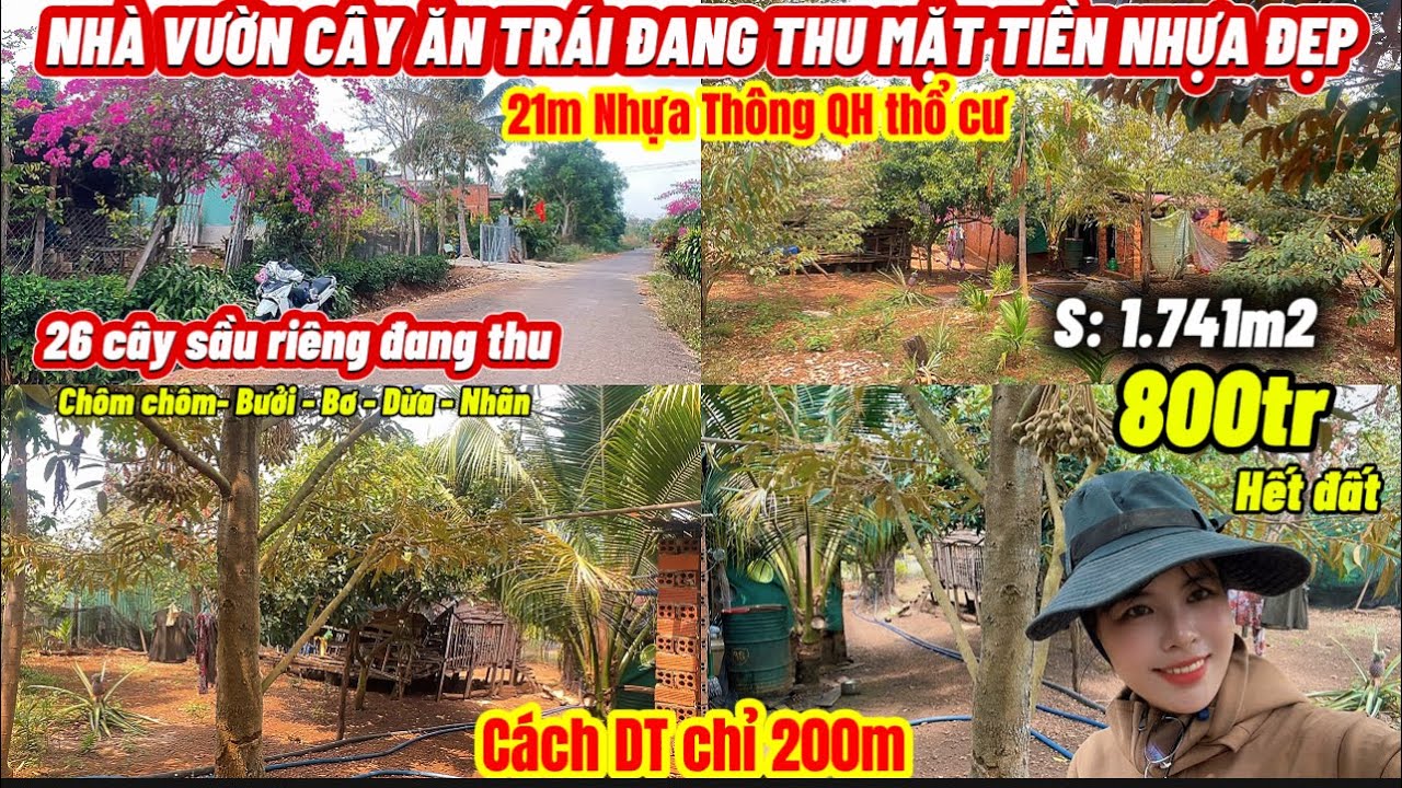 Nhà vườn cây ăn trái đủ loại Gần QL- MT Nhựa thông S:1742m2; QH thổ cư sáng đẹp chỉ 800tr hết đất