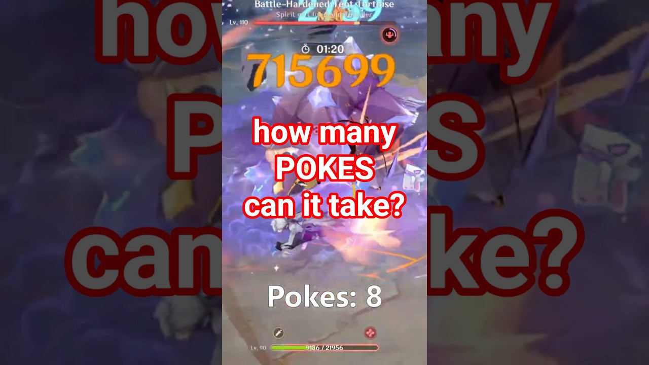 Arle pokes a tortoise 