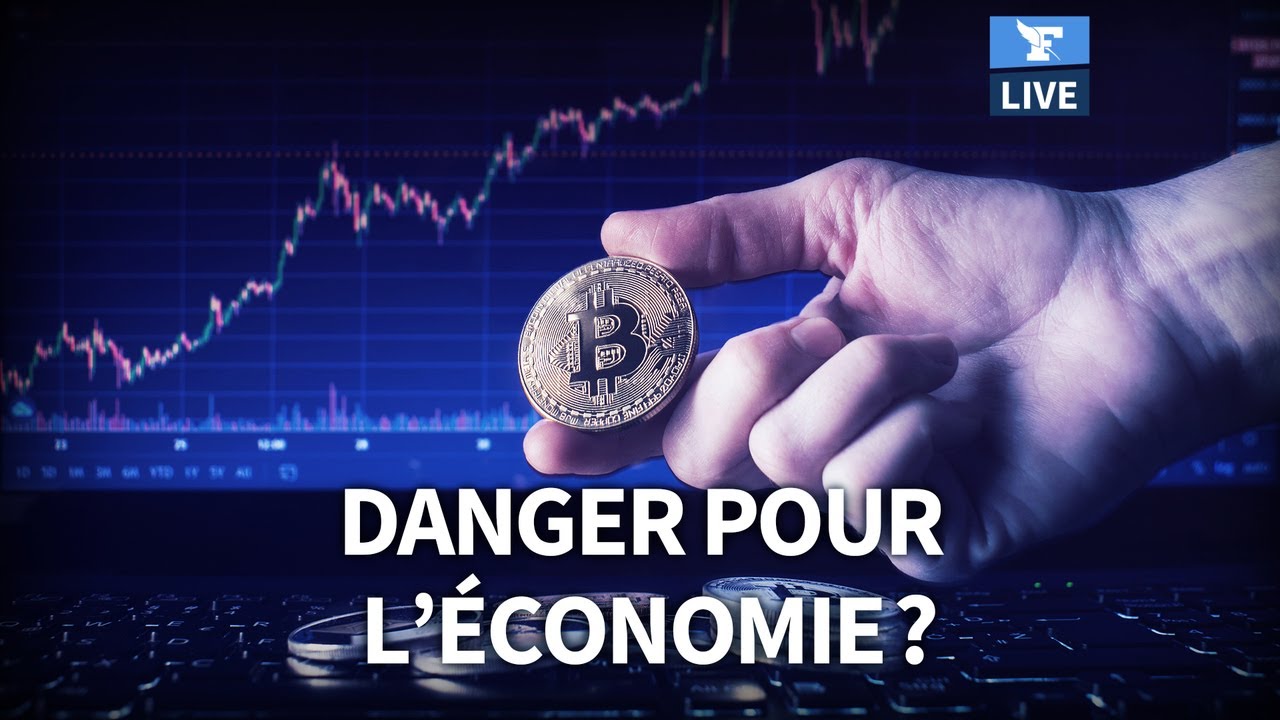 💰 Le bitcoin peut-il DÉRÉGLER le système financier ?