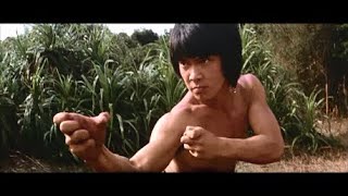 Yuen Biao 元彪 - Legendary On-Screen Punching, Kicking, and Flipping!