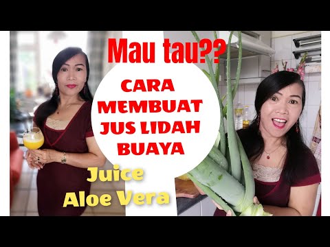 Video: Cara Membuat Tingtur Lidah Buaya