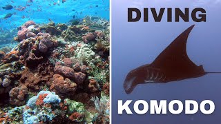 Download Lagu Diving The Komodo National Park  (Best Reef in Indonesia - 4K) MP3