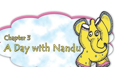 A day with Nandu EVS class 4th chapter 3 full explanation with exercises हिंदी में