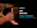 Pet program helping owners escape family violence | ABC News