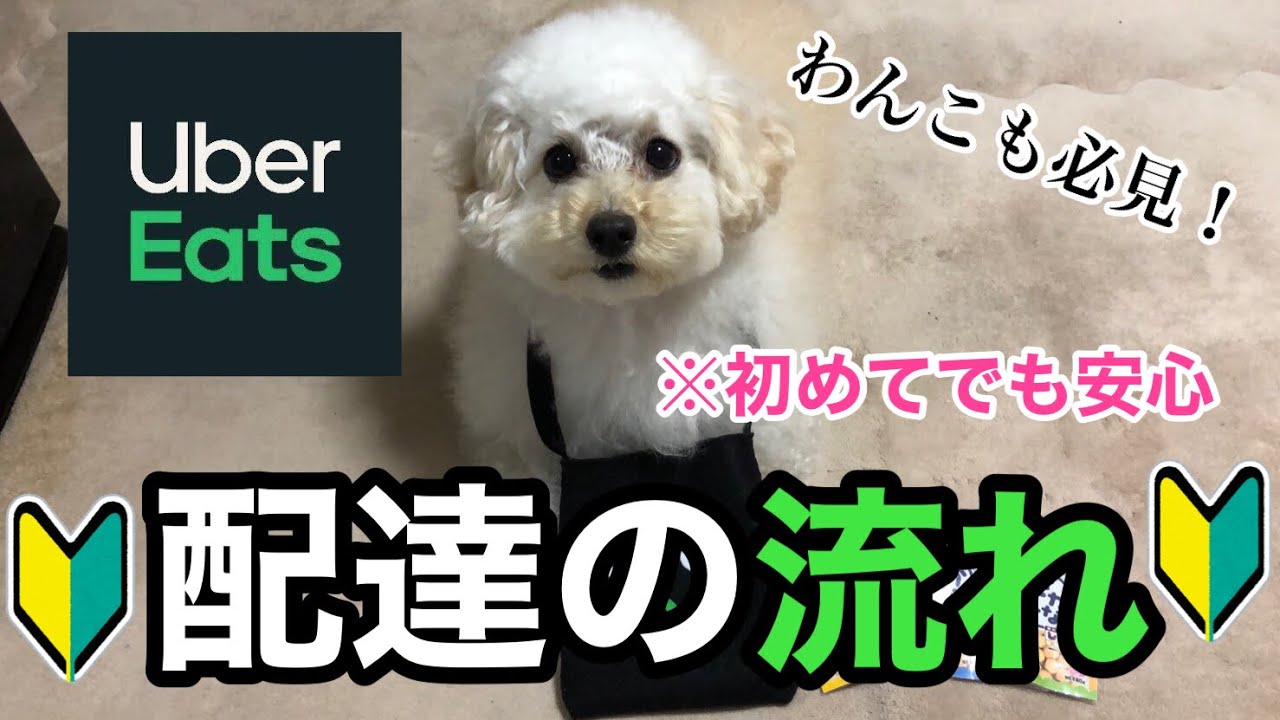【ウーバーイーツ】【マルプー】ウーバーイーツの配達員はじめました🔰コロナ禍で人気上昇中【Uber Eats】