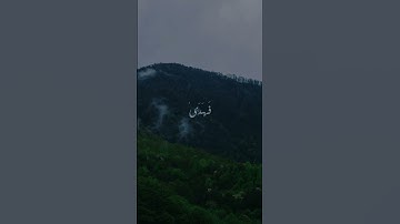 أَلَمْ يَجِدْكَ يَتِيمًا فَآوَىٰ | محمد صديق المنشاوي | سورة الضحى