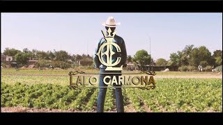 Lalo Carmona - Como Mi Mujer