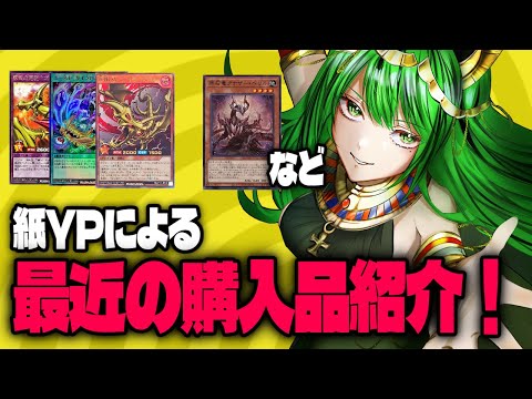 紙YPによる最近の購入品紹介・価格情報【#遊戯王 #ラッシュデュエル #OCG】