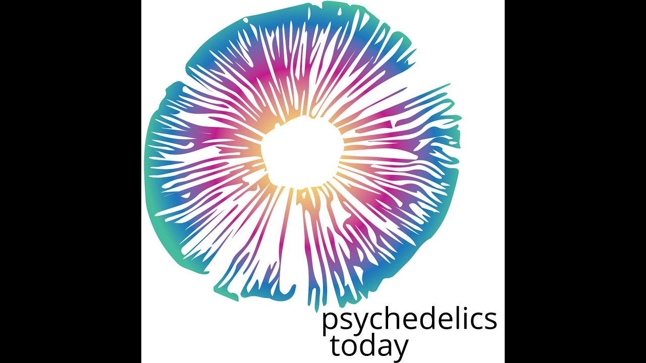 PTSF53 - Psychedelics and Creativity, with Laura Dawn