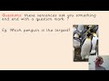 Understanding Sentence Types
