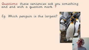 Statement, Question, Command, Exclamation