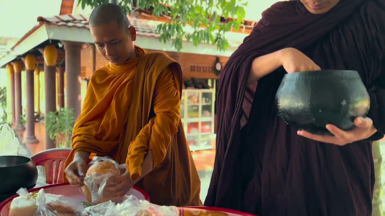 1 ngày đi bát tại Thiền Viện Quán Tâm.