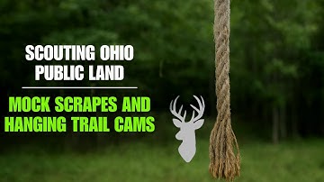 Scouting Ohio Public Land | Mock Scrapes & Trail Camera Setup