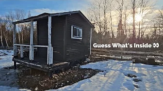 You’ll Never Guess What’s Inside This Tiny Bunkie — It’s Changing Our Homestead Forever