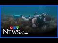 'This is what I wanted to do': Port Dover man lives dream of searching for pirate shipwrecks