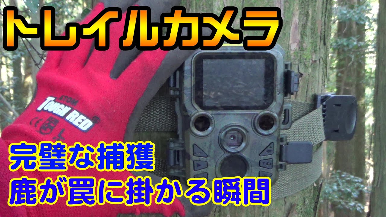 スマホで24時間リアルタイム監視　狩猟の罠、鹿、猪の確認、防犯カメラ等に スマホで24時間リアルタイム監視 狩猟の罠、鹿、猪の確認、防犯カメラ