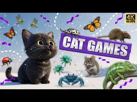 CAT GAMES 🐾3D Game for Cats | Video for Cats  – Ultimate CAT TV #122😻 4K60FPS