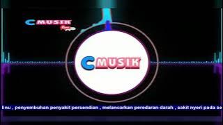 C Musik Telkom 4