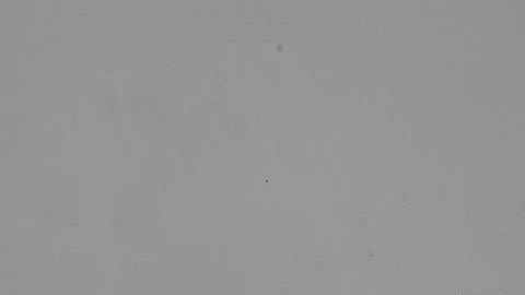 Hydrodynamic trap - Nonfluorescent particle trapping