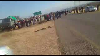 Big Black python crossing the road in Shoshong village, Botswana.
