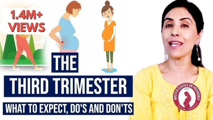 Third Trimester of Pregnancy 