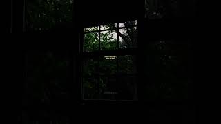 🤍  Phir Bhi Tumko Chahunga ~ Lekin Jab Yaad Karoge Tum | Aesthetic Status  🤍| Lofi Love Beats |