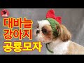 [써니의실노리]대바늘 강아지  뜨개모자ㅣHow to knit a Dog Hat