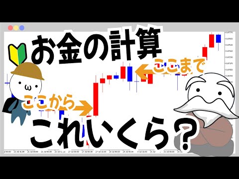 FXのpips計算方法！誰でもわかる損益の数え方(・∀・)