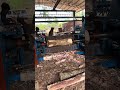 Heavy 💪timber processing the hydraulic debarking machine part 533 #woodworking #shorts #viral #wood