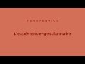 Perspective 11  lexpriencegestionnaire