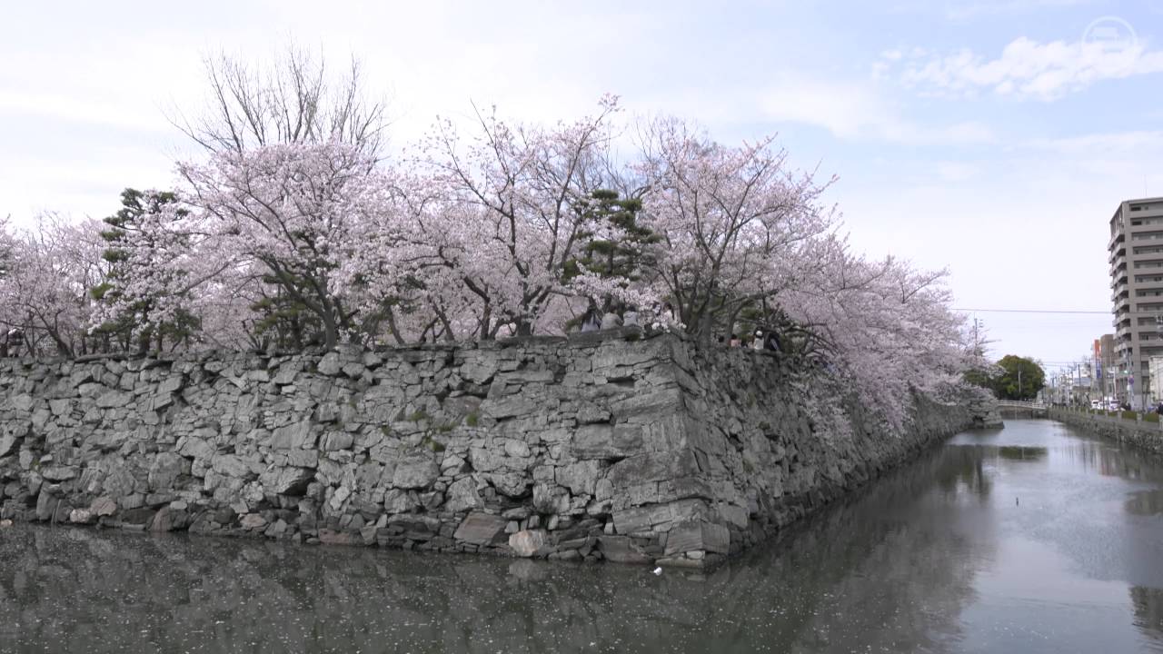 0118徳島中央公園 YouTube