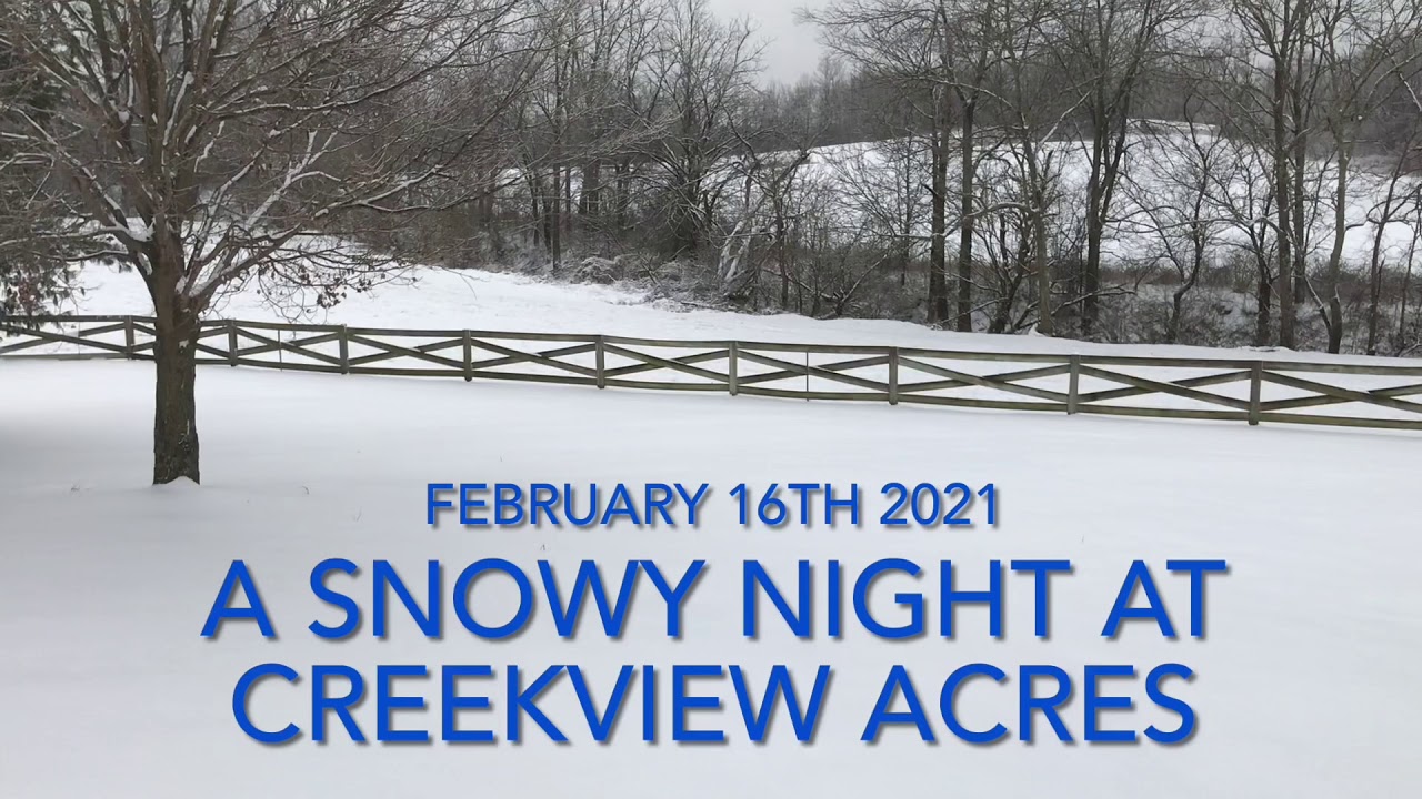 SHOVELING SNOW at CREEKVIEW Acres