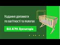 Надання допомоги по вагітності та пологах в BAS АГРО. Бухгалтерія