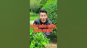 Cô bé mải chơi game mất cảnh giác và bài học nhớ đời #shorts