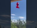 ♥️🌵Watching the hummingbirds✨♥️✨ #hummingbirds #hummingbirdfeeder #beautifulday #arizonia