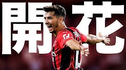 ドッピエッタtv Youtube