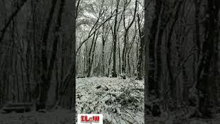 Qəbələ Azerbaijan Azərbaycan Qış Winter Beautiful Travel Whatsapp Statuslar Qar Status 