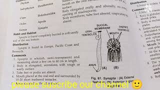 Synapta Clification, Habitat And Comments Zoology Practical Bsc1Comments On Synapta