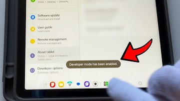 How To Enable Developer Options Mode On Samsung Galaxy Tab A9 Plus