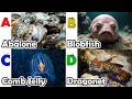 Toddler Learning - Learn Ocean Animals | Educational Videos for Kids | Learning Videos for Toddlers